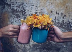 Three Superfoods You Didn’t Know Have Detox Powers
