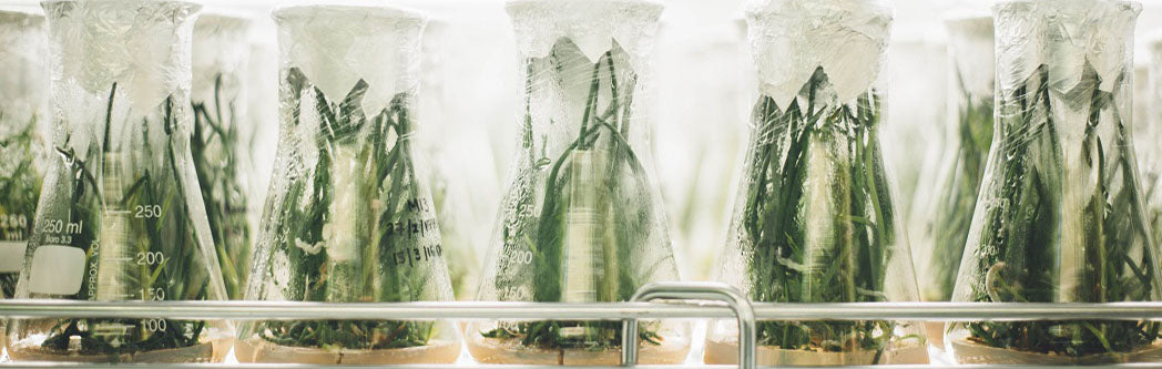 Most Recent Nutrition Science Findings You Need To Read Before Your Next Meal
